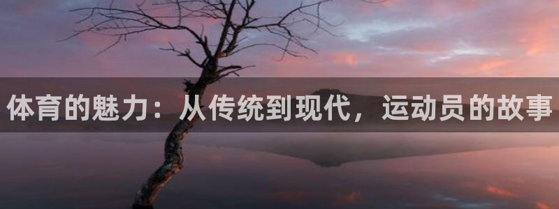 JJB竞技宝官方正版app五金厂：体育的魅力：从传统