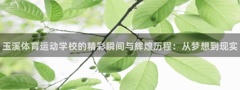 JJB竞技宝官网下载官方客服电话：玉溪体育运动学校的