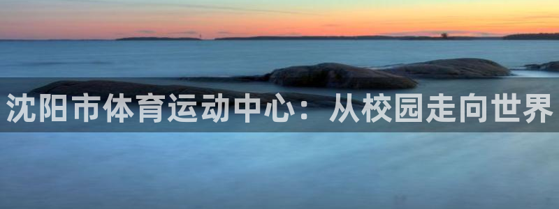 JJB竞技宝官方正版app集团：沈阳市体育运动中心：