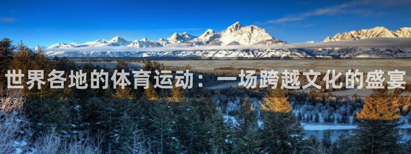 JJB竞技宝官方正版app新能源：世界各地的体育运动
