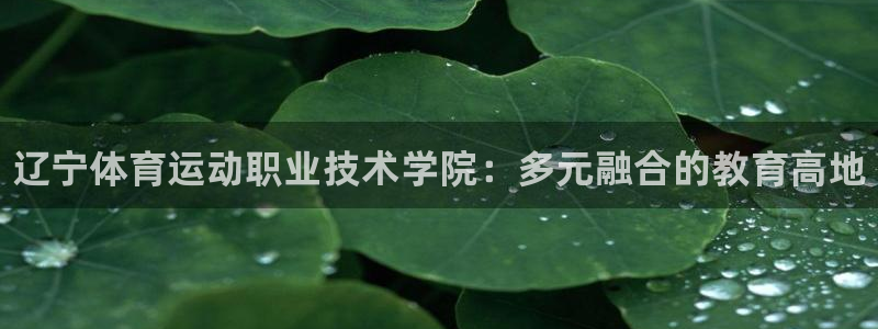 JJB竞技宝官方正版app官网：辽宁体育运动职业技术