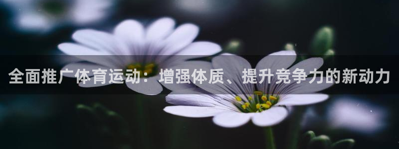 JJB竞技宝官网下载招商电话号码：全面推广体育运动：