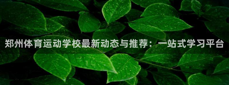JJB竞技宝官网下载平台注册流程图：郑州体育运动学校