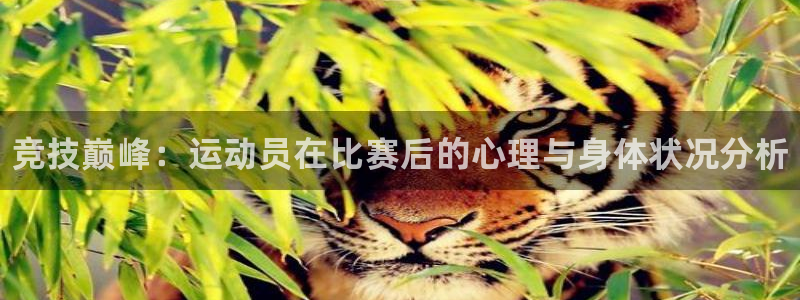 JJB竞技宝官网下载平台APP：竞技巅峰：运动员在比赛后的心