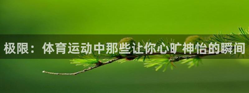JJB竞技宝官方正版app集团简介：极限：体育运动中