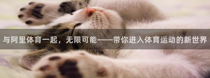 JJB竞技宝官方正版app娱乐首页网站大全