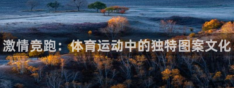 JJB竞技宝官网下载招商电话号码查询是多少：激情竞跑