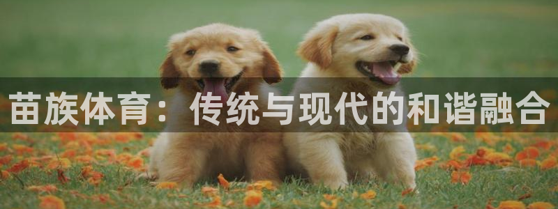 JJB竞技宝官网下载软件：苗族体育：传统与现代的和谐融合