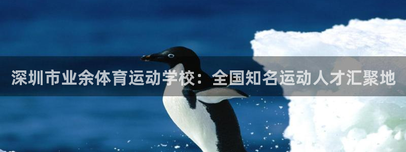JJB竞技宝官网下载招商电话号码：深圳市业余体育运动学校：全