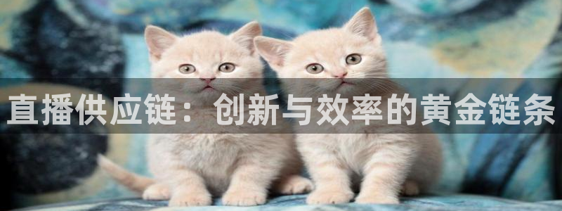 178体育直播最新版下载