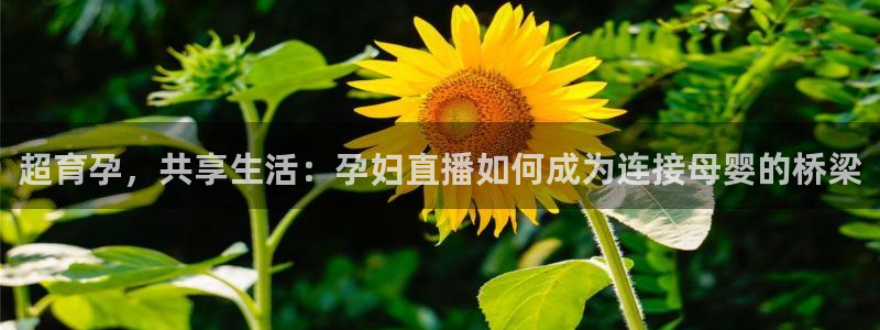 178免费直播体育