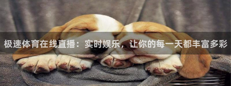 178体育免费直播视频：极速体育在线直播：实时娱乐，让你的每一天都丰富多彩
