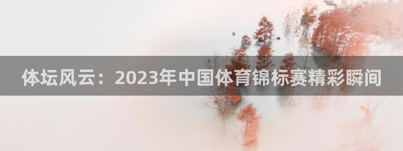 JJB竞技宝官网下载平台注册流程图：体坛风云：2023年中国