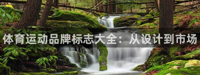 JJB竞技宝官网下载平台是正规平台吗：体育运动品牌标志大全：