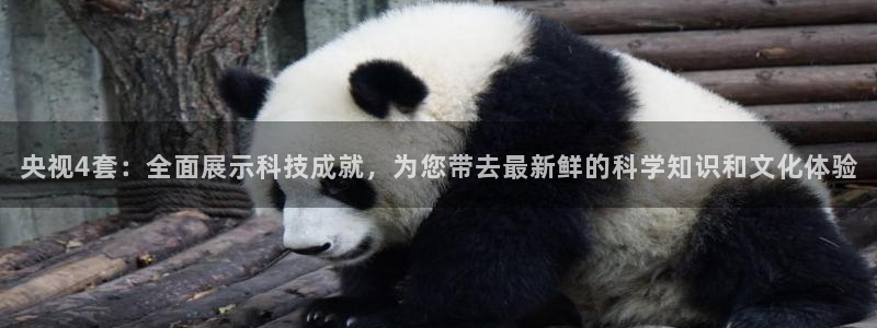 直播nba免费观看178：央视4套：全面展示科技成就，为您带去最新鲜的科学知识和文化体验