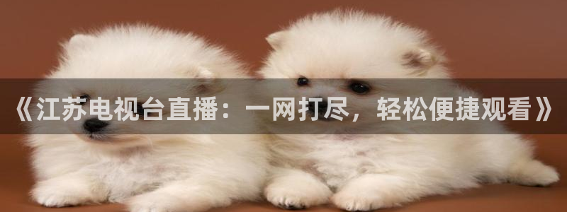 178直播篮球赛事直播：《江苏电视台直播：一网打尽，轻松便捷观看》