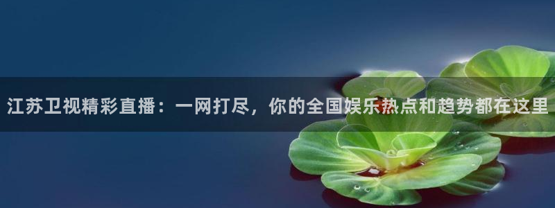 178直播看球：江苏卫视精彩直播：一网打尽，你的全国娱乐热点和趋势都在这里